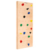 Sport-Thieme Turnwand-Einzelelement "TuWa Kletterwand"