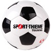 Sport-Thieme® Fußball "Training"
