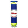 Wilson Tennisball 