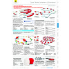 Seite 251 Sport-Thieme Katalog 