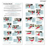 Flexi-Bar Fitness-Set "Flexi Bar Sport & Airex Balance Pad"