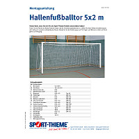 Sport-Thieme Hallenfußballtor