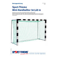Sport-Thieme Handballtor frei stehend, 3x1,60 m