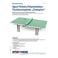 Sport-Thieme Tischtennisplatte "Champion"
