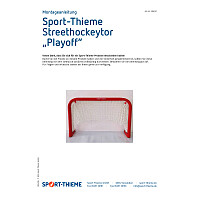 Sport-Thieme Streethockeytor "Playoff"