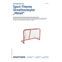 Sport-Thieme Streethockeytor "Metall"