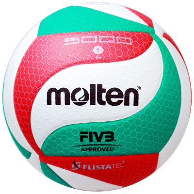 Molten Volleyball 