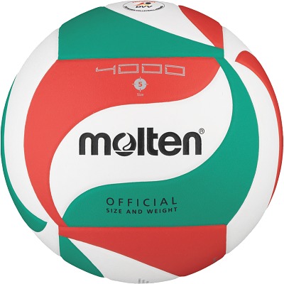 Molten Volleyball 