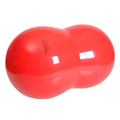 Gymnic Fitnessball 