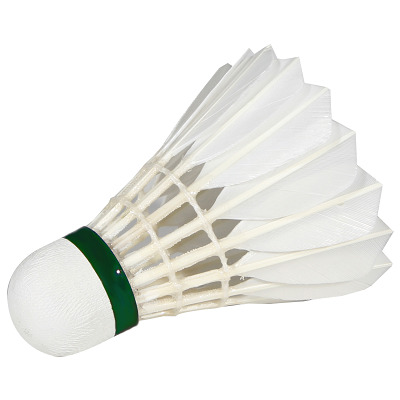 Victor Badmintonbälle Pro Court