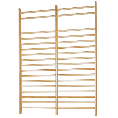 Sport-Thieme Sprossenwand 