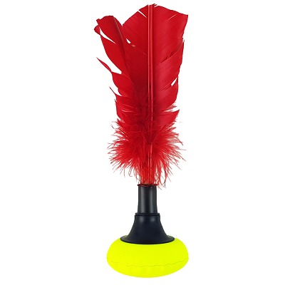Indiaca Ball Turnier