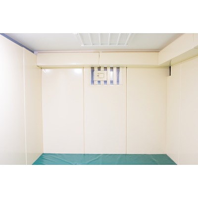Sport-Thieme Polsterelemente 