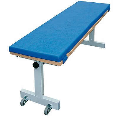 Möckel Ergonomiebank, LxB: 100x25 cm, H...