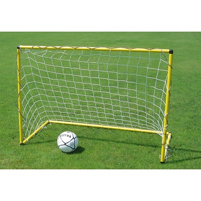 Mini-Goal Gym