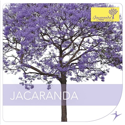 Togu CD Jacaranda