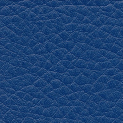 Sport-Thieme Lagerungsrolle, Blau, 40x12 cm