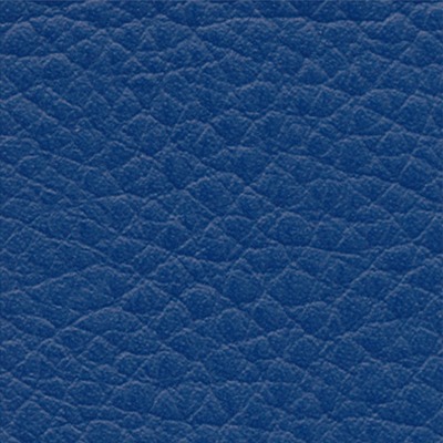 Sport-Thieme Lagerungsrolle, Blau, 40x12 cm