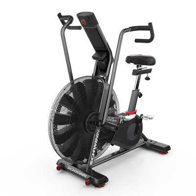 Schwinn Airdyne Bike \