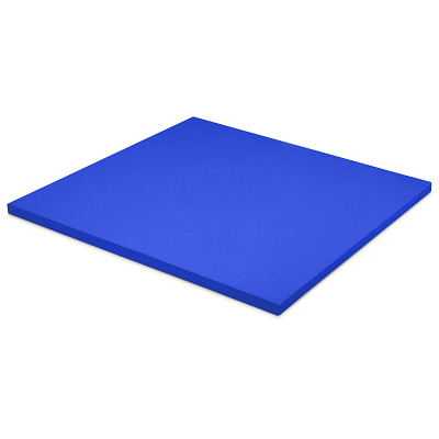 Sport-Thieme Judomatte, Blau, Tafelgröße ca. 100x100x4 cm