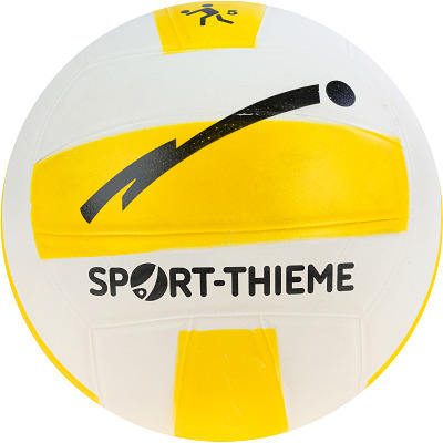 Sport-Thieme Beachvolleyball 