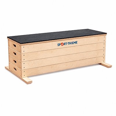 Sport-Thieme Sprungkrafttrainer "Jump", Set M