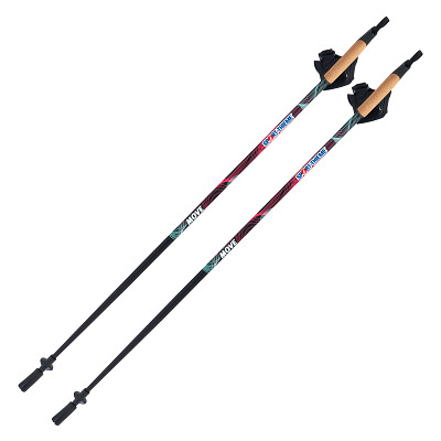 Sport-Thieme Nordic Walking Stöcke "Move", 110 cm