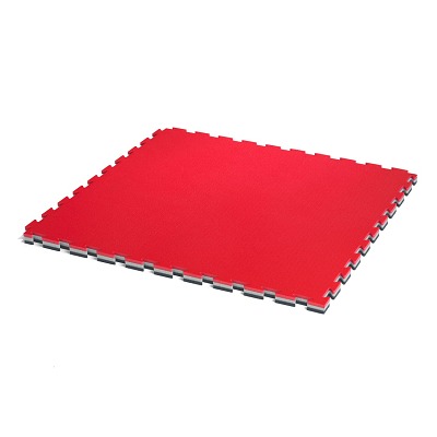 ProGame Trocellen Fitnessmatte "Tatami Gym"
