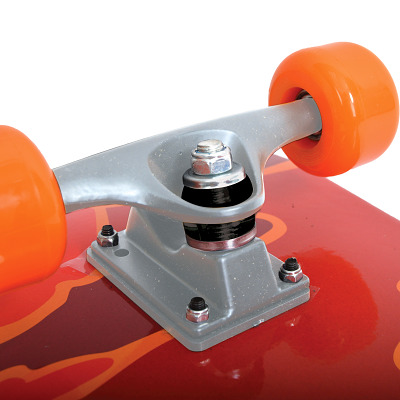 Schildkröt Skateboard 