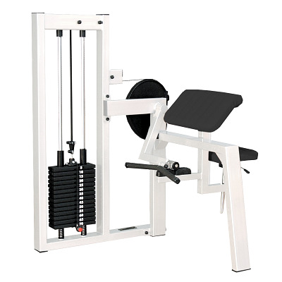 Sport-Thieme Bizepsmaschine 