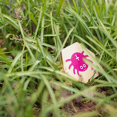 BS Toys Suchspiel 