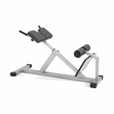 Sport-Thieme Rückenstrecker "MED", Silber