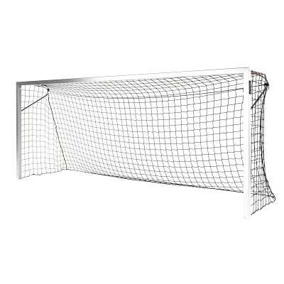 Sport-Thieme Jugend-Fußballtor "BlueGoal", In Bodenhülsen