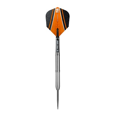 Target Steeldarts Raymond Van Barneveld, 26 g