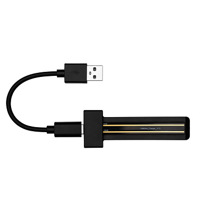 Freelap Ladestation "USB-C"
