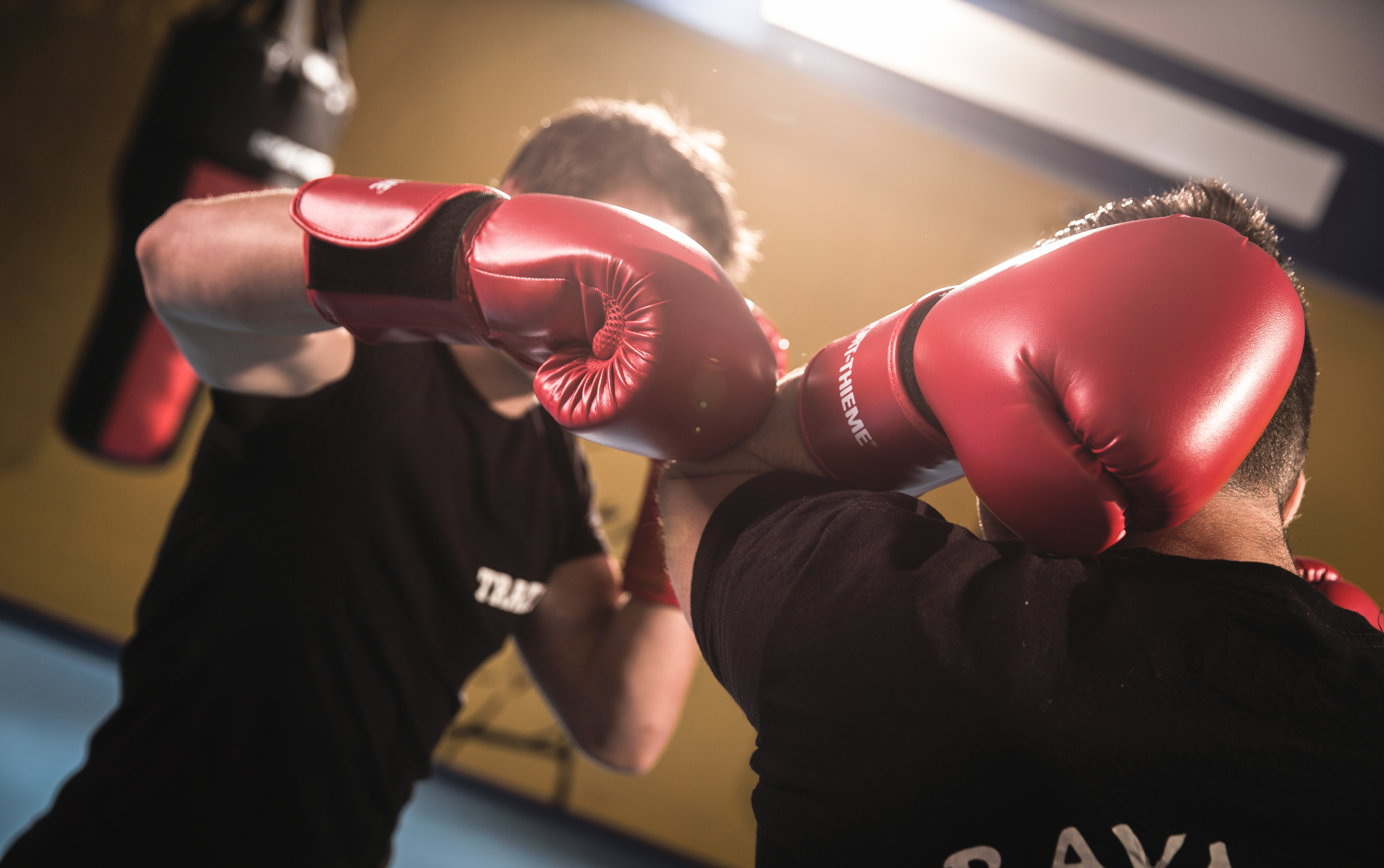 Boxhandschuhe – so findet ihr den richtigen Handschuh