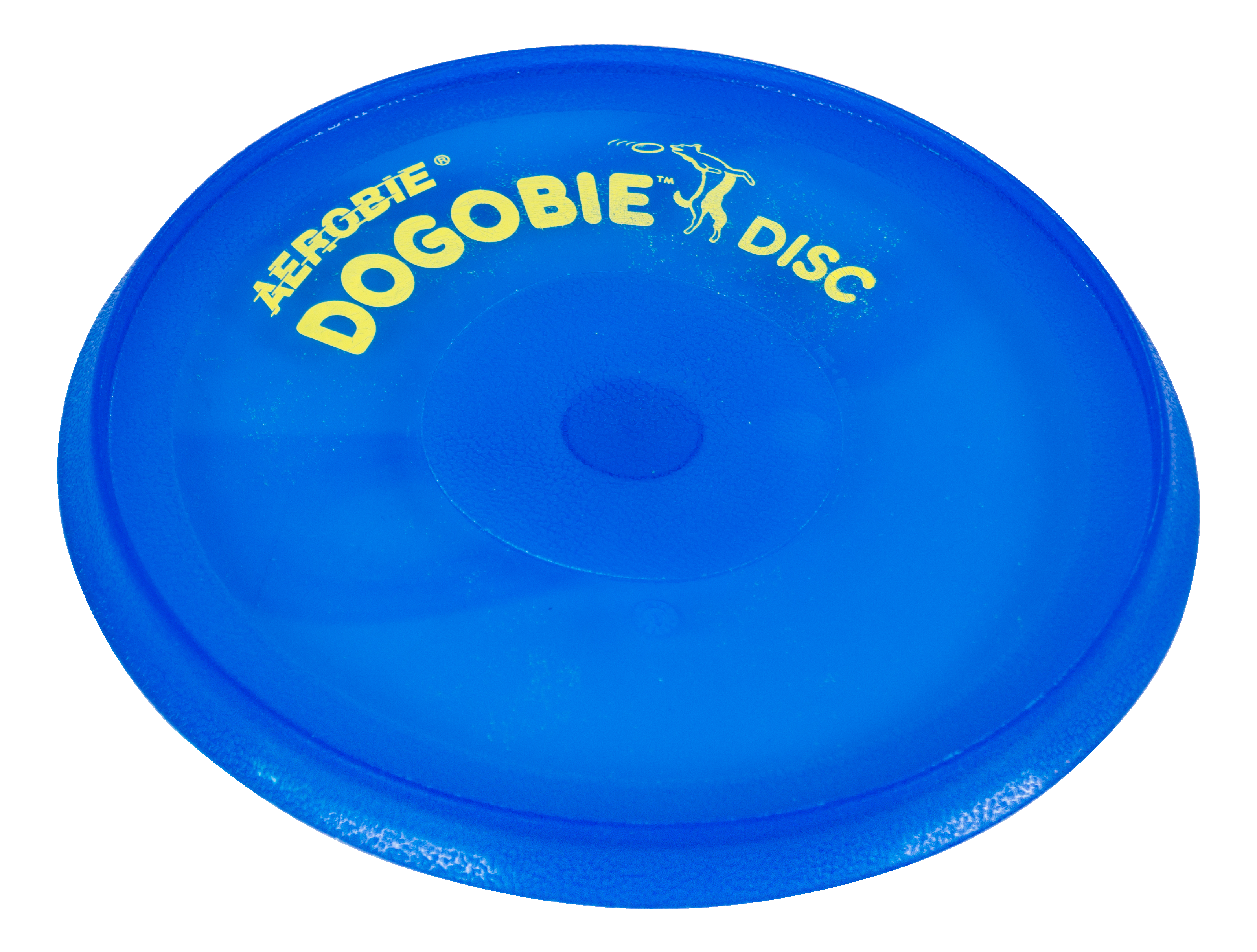 Dogobie Disc: Unser Schlechtwetter-Tipp für Hundebesitzer