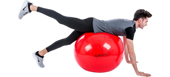 Ledragomma Original Pezziball® ø 75 cm