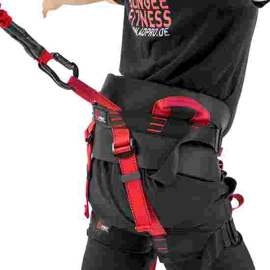4D Pro Bungee Dance Harness