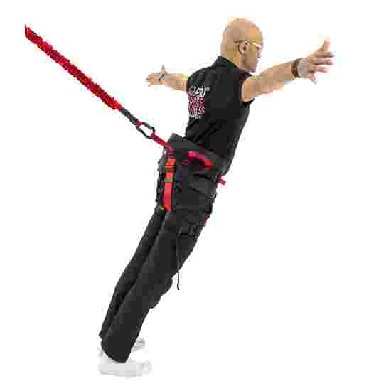 4D Pro Bungee Dance Harness buy at