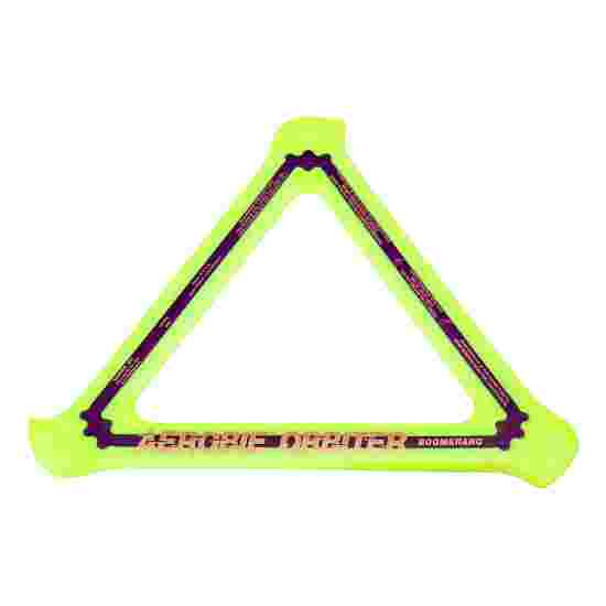 Aerobie Kastering Orbiter