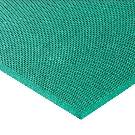 Airex Exercise Mat Buy At Sport Thieme Com