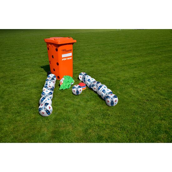 "Allin" Ball Bin buy at