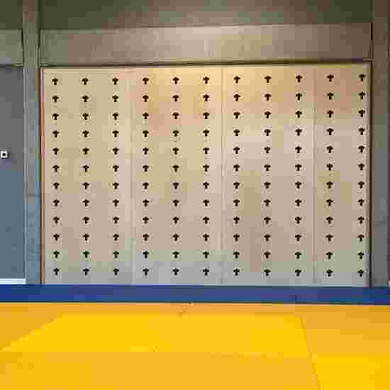Cube Sports Multifunktionale Trainingswand "Wall" kaufen SportThieme