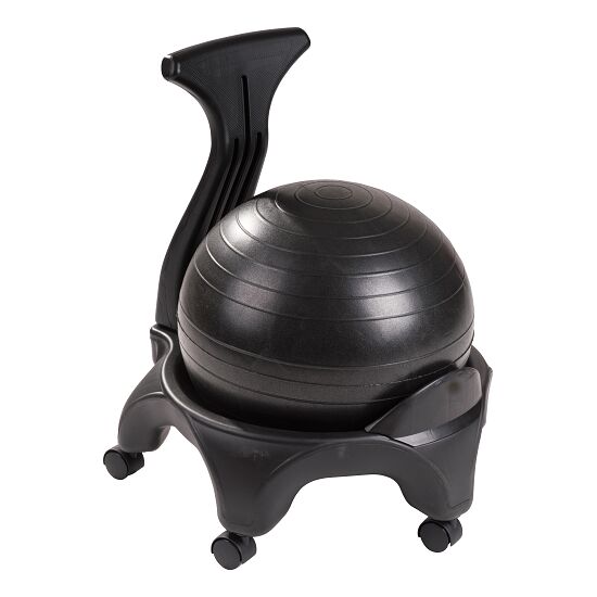 swiss ball chair