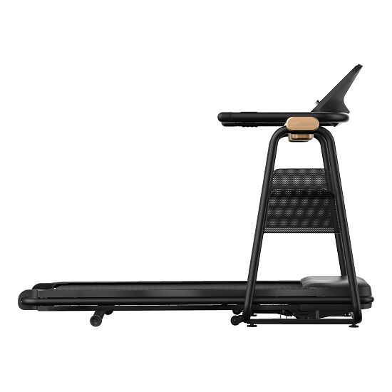 horizon treadmill