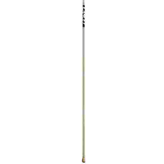 &quot;Lancet&quot; FRP Junior Vaulting Pole 310 cm, up to 30 kg