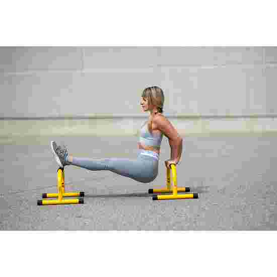 Lebert Equalizer Yellow, Parallettes