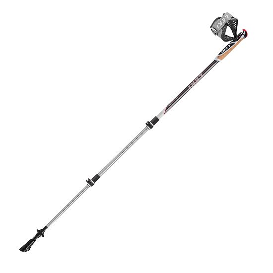 nordic hiking poles