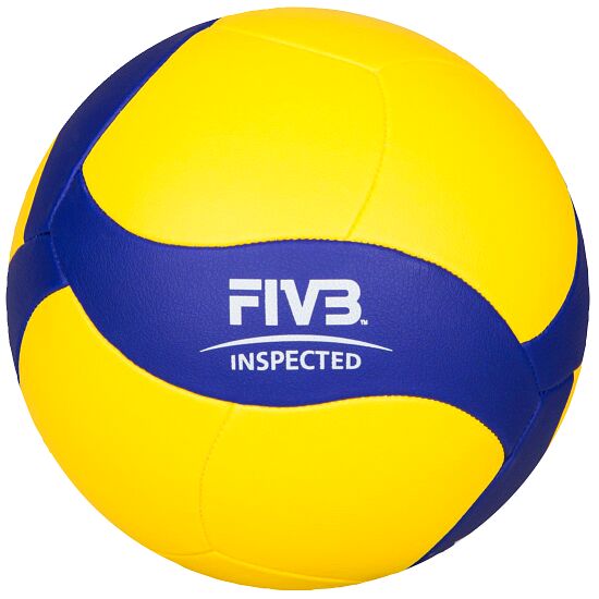 volleyball ball